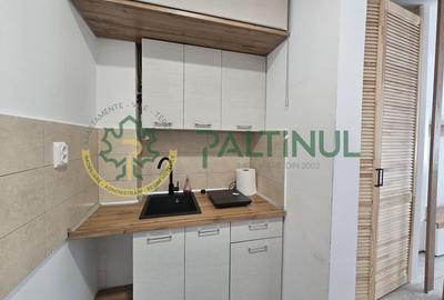 Garsonieră semidecomandată, mobilată în Vasile Aaron - 6