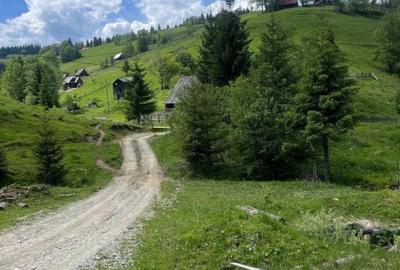 Teren agricol intravilan de 1505 mp, în Muntele Bocului - 4