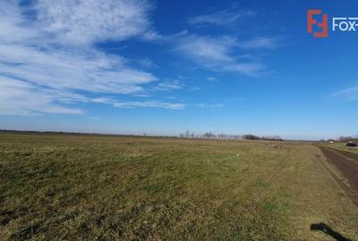 Teren Construcții intravilan de 665 mp, în Pădureni (Jebel)