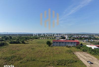 Teren de 4917 mp, în Valea Borcutului