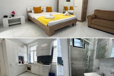 Apartament cu 3 camere în Tineretului