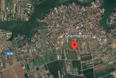 Teren Construcții de 4769 mp, în Ghermănești - 2
