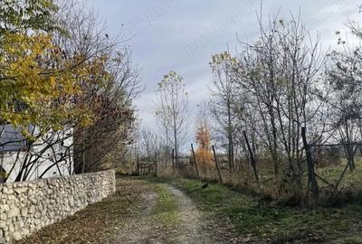 Teren de 431 mp, în Săteni - 2