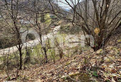 Teren de 637 mp, în Tăuții-Măgherăuș - 3