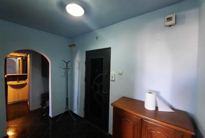 Apartament cu 2 camere în Șandra - 7