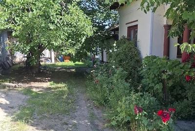 Casă cu Teren 1300 Mp în Bragadiru - 3