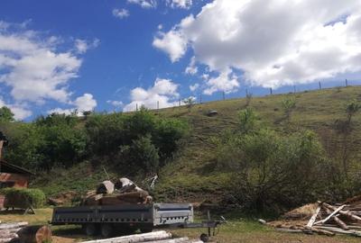 Teren Construcții intravilan de 6700 mp, în Mărgău - 6