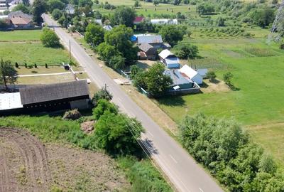 Teren agricol intravilan de 5421 mp, în Negrești (Dobreni) - 6