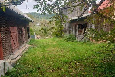 Casă cu 4 camere în Vișeu de Jos