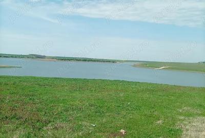 Teren de 2100 mp, în Valea Argovei
