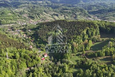 Teren Construcții extravilan de 18000 mp, în Exterior Sud - 12