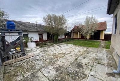 Casă cu 4 camere cu Teren 2880 Mp în Sintea Mare - 7
