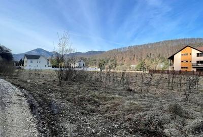 Teren Construcții intravilan de 1000 mp, în Săcele - 3