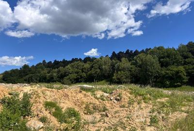 Teren intravilan de 1200 mp, în Făget - 6