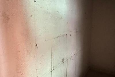 Apartament cu 2 camere decomandat în Cristian - 5