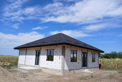 Casă cu Teren 800 Mp în Cătămărești