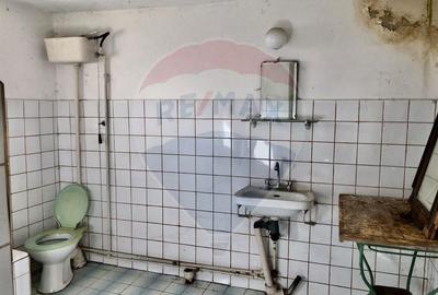 Casă individuală cu 4 camere cu Teren 979 Mp în Tohanu Vechi - 21