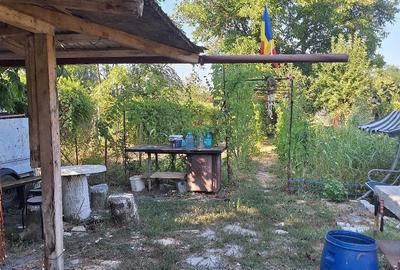Teren de 1000 mp, în Dârvari
