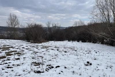 Teren de 3466 mp, în Central - 7
