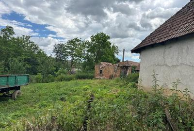 Casă cu Teren 800 Mp în Buza Cătun - 5