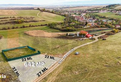 Teren de 642 mp, în Șura Mică - 4