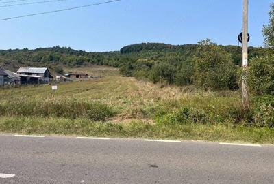 Teren de 3900 mp, în Conțești