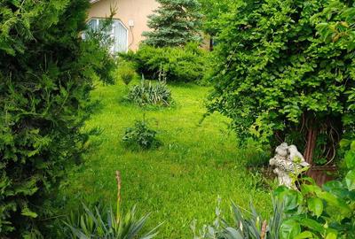 Casă cu Teren 1000 Mp în Mircea Vodă - 2