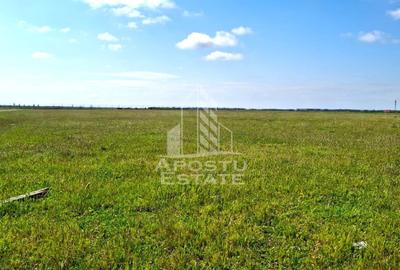 Teren Construcții intravilan de 31297 mp, în Vladimirescu - 1