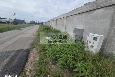Teren de 3300 mp, în Ciolpani - 5