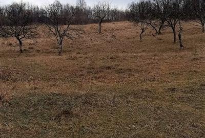 Teren agricol extravilan de 9826 mp, în Aluniș - 4