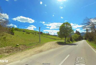 Teren de 2000 mp, în Paltin