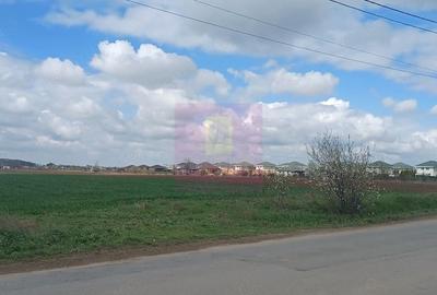Teren de 1000 mp, în Săbăreni