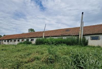 Teren Construcții intravilan de 9300 mp, în Cochirleni - 8