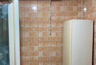 Apartament cu 2 camere nedecomandat, mobilat în Tătărași