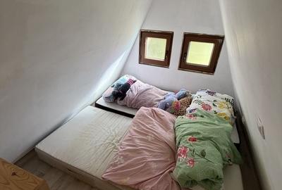 Casă cu 2 camere în Muntele Cacovei - 3