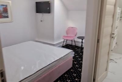 Hotel/Pensiune, de 500 mp, în Grigorescu - 4