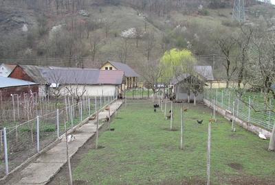 Casă cu 3 camere cu Teren 2900 Mp în Vețel - 3