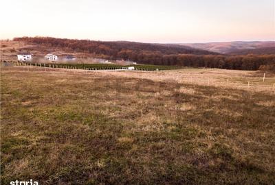 Teren de 805 mp, în Podgoria - 2