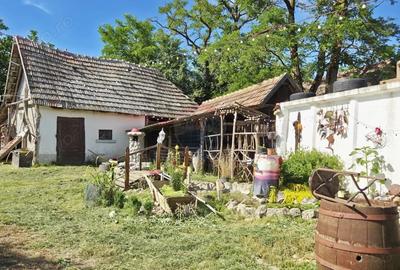 Casă cu 3 camere cu Teren 5800 Mp în Lechința - 1