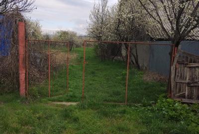 Casă cu 3 camere în Dițești