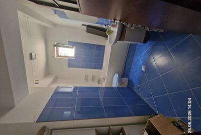 Apartament cu 3 camere decomandat în Ghencea - 8