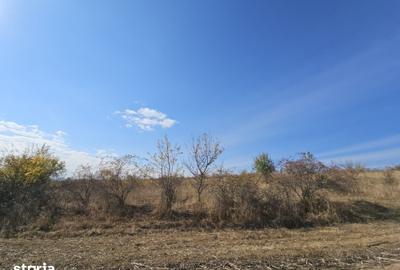 Teren de 5300 mp, în Chinteni