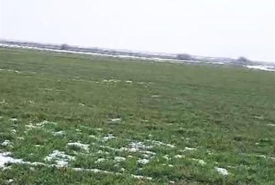 Teren intravilan de 1000000 mp, în Perișoru - 1