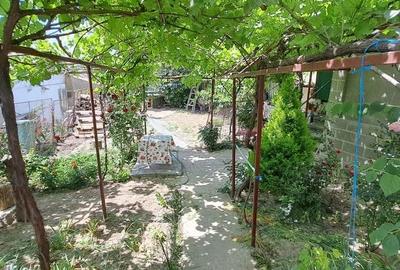 Casă cu 5 camere în Central