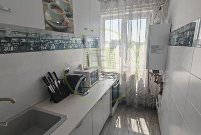 Apartament cu 2 camere semidecomandat, mobilat în Craiovița Nouă - 4