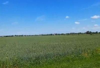 Teren Construcții intravilan de 10000 mp, în Domnești - 3