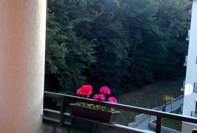 Apartament cu 2 camere semidecomandat în Central - 2