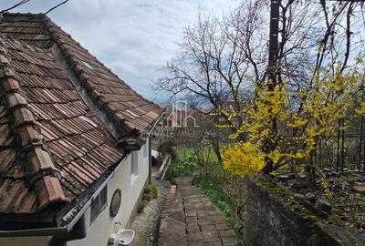 Casă individuală cu 2 camere cu Teren 3080 Mp în Nord - 17