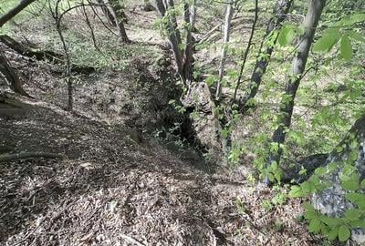 Teren de 5000 mp, în Valea Danului