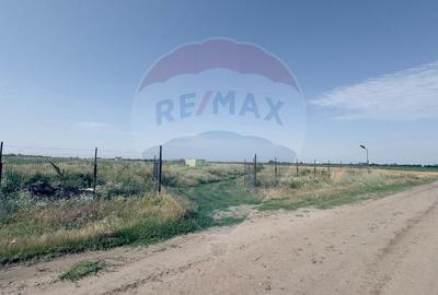 Teren agricol extravilan de 16750 mp, în Cârcea - 1
